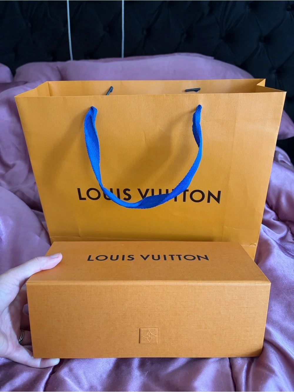 Louis Vuitton brand new